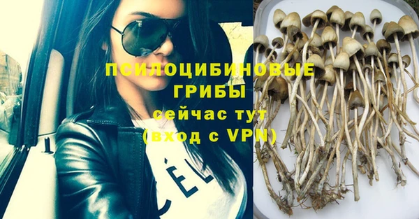 дмт Ростов