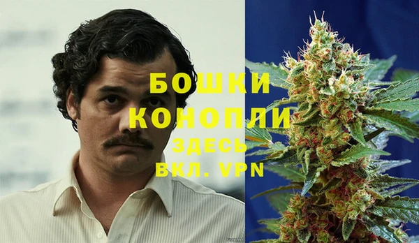 дмт Ростов