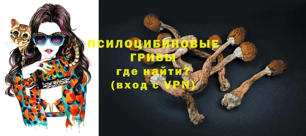 дмт Ростов