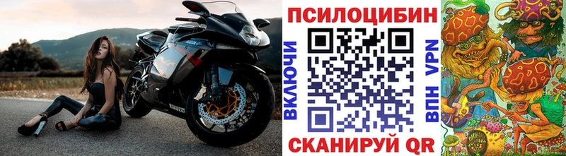 как найти закладки  Талдом  Псилоцибиновые грибы Cubensis 